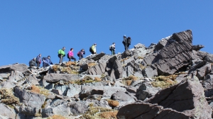 Climbers