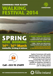Festival 2014
